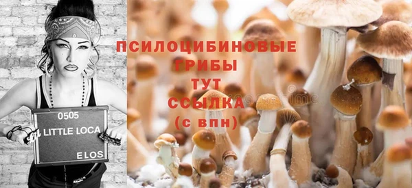 дживик Лихославль