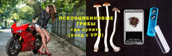 Альфа ПВП Лабытнанги