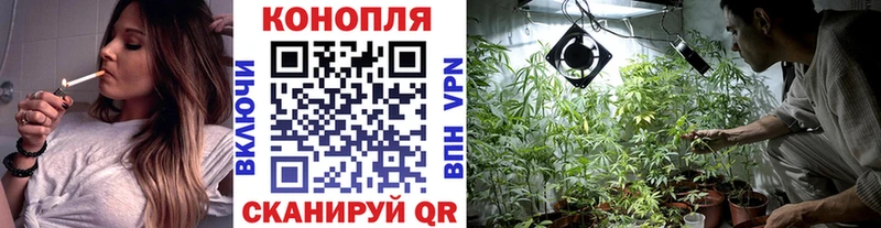Каннабис SATIVA & INDICA Медынь